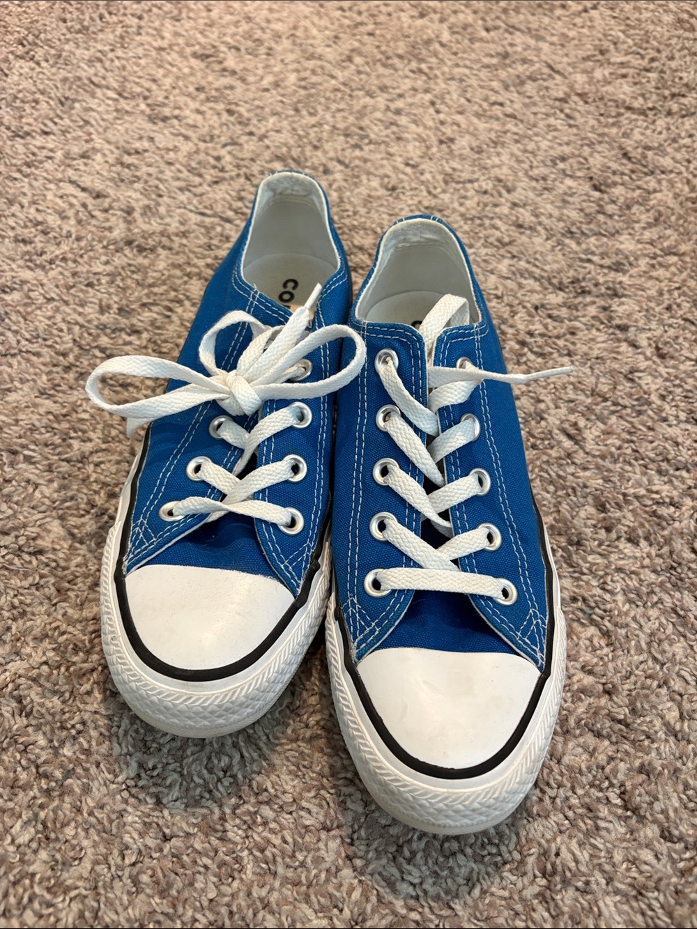 Converse Low-Top Canvas Sneakers in Bright Blue and White